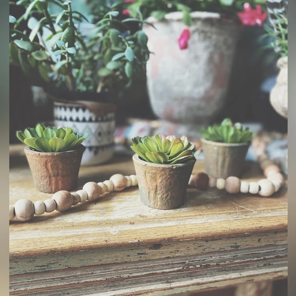 Set of 3 Rustic Clay Potted Faux Succulents - Boho Home Decor